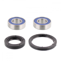 Wheel bearing and seal kit 251076
