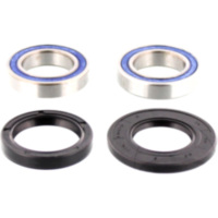 Wheel bearing and seal kit 251415