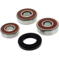 Wheel bearing and seal kit WBK117