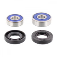 Wheel bearing and seal kit 251181