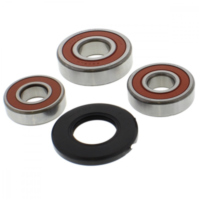 Wheel bearing and seal kit WBK133