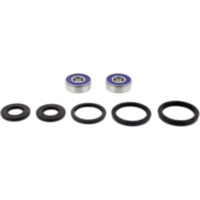 Wheel bearing and seal kit 251311