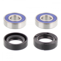 Wheel bearing and seal kit 251009