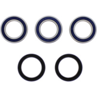 Wheel bearing and seal kit 251406