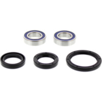 Wheel bearing and seal kit 251080