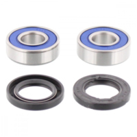 Wheel bearing and seal kit 251188