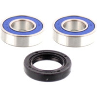 Wheel bearing and seal kit 251051