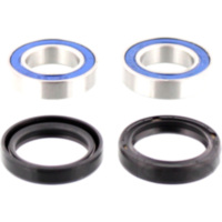 Wheel bearing and seal kit 251482