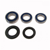 Wheel bearing and seal kit 251039