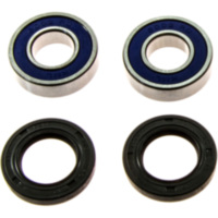 Wheel bearing and seal kit 251045