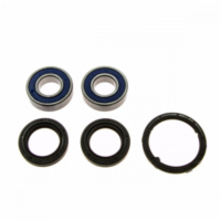 Wheel bearing and seal kit 251077