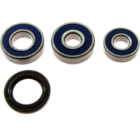 Wheel bearing and seal kit 251087