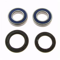 Wheel bearing and seal kit 251102