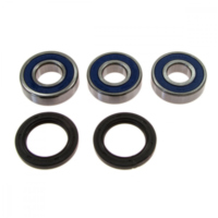 Wheel bearing and seal kit 251155