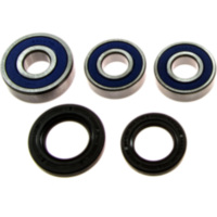 Wheel bearing and seal kit 251209