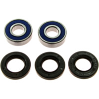 Wheel bearing and seal kit 251211