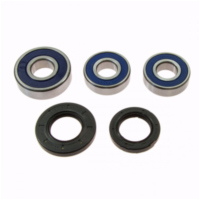 Wheel bearing and seal kit 251257