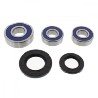 Wheel bearing and seal kit 251269