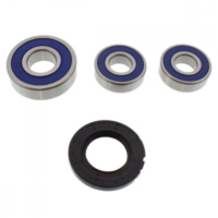 Wheel bearing and seal kit 251272