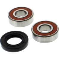 Wheel bearing and seal kit WBK308