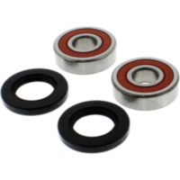 Wheel bearing and seal kit WBK316