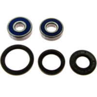 Wheel bearing and seal kit 251310