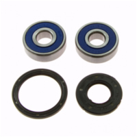 Wheel bearing and seal kit 251312