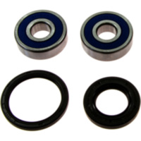 Wheel bearing and seal kit 251334