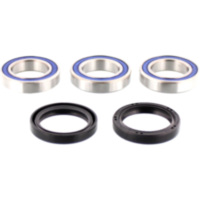 Wheel bearing and seal kit 251250