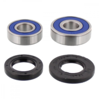 Wheel bearing and seal kit 251206