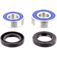 Wheel bearing and seal kit 251214