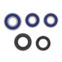 Wheel bearing and seal kit 251230