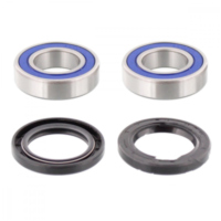 Wheel bearing and seal kit 251273