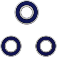 Wheel bearing and seal kit 251345