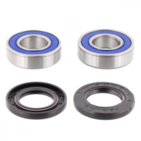 Wheel bearing and seal kit 251223