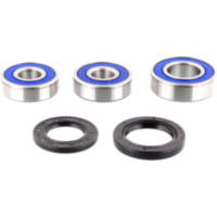 Wheel bearing and seal kit 251280