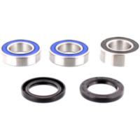 Wheel bearing and seal kit 251556