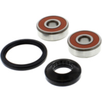 Wheel bearing and seal kit WBK412