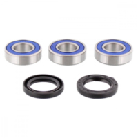 Wheel bearing and seal kit 251243