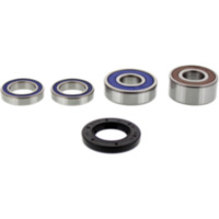 Wheel bearing and seal kit 251383