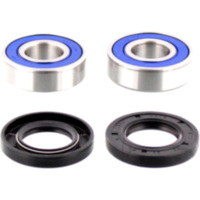 Wheel bearing and seal kit 251210