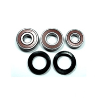 Wheel bearing and seal kit WBK427