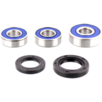 Wheel bearing and seal kit 251201