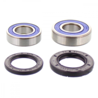 Wheel bearing and seal kit 251252