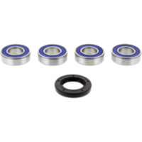 Wheel bearing and seal kit 251267