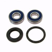 Wheel bearing and seal kit 251380