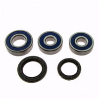 Wheel bearing and seal kit 251388
