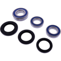 Wheel bearing and seal kit 251392