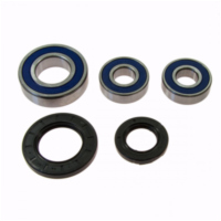 Wheel bearing and seal kit 251393