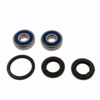 Wheel bearing and seal kit 251448